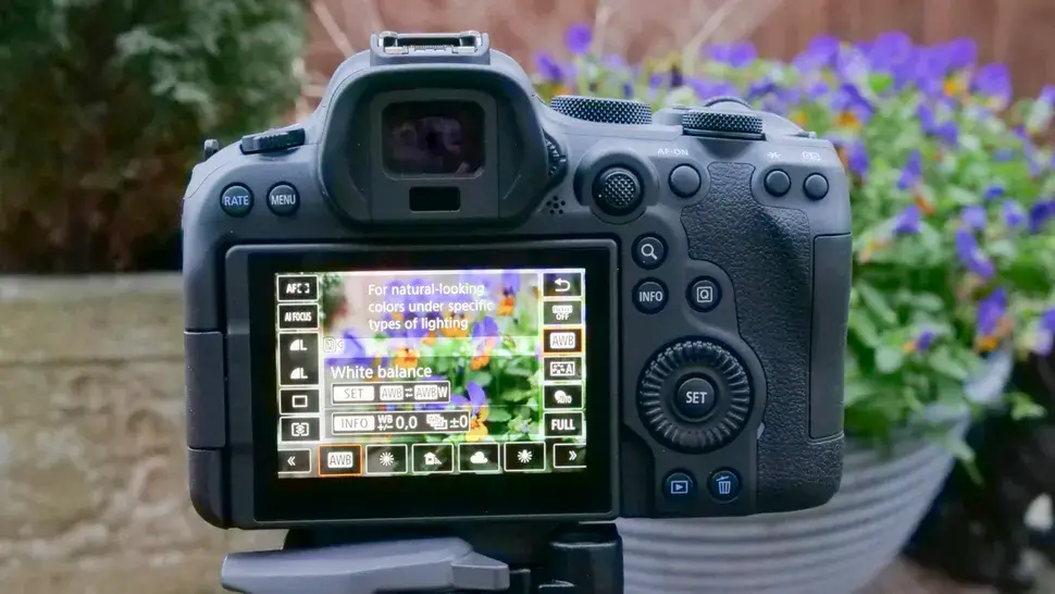 Canon EOS R6 II features and performance_2