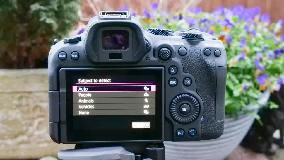 Canon EOS R6 II features and performance_3