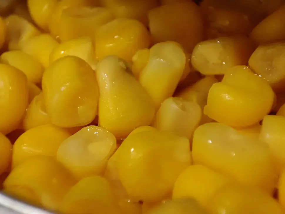 A telemacro shot of sweetcorn - turn to the next image to see what it looked like on the main camera