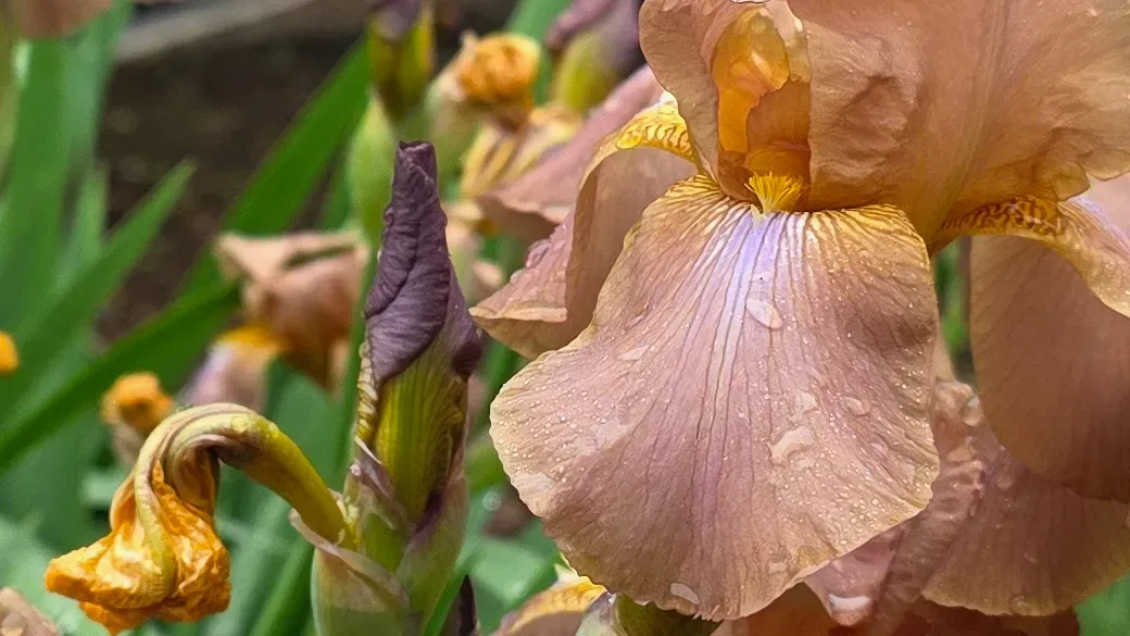 عکس گرفته شده با سامسونگ گلکسی S25 Edge