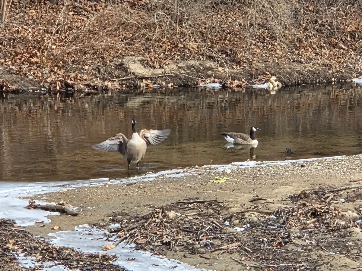 عکس گرفته شده با سامسونگ گلکسی S25