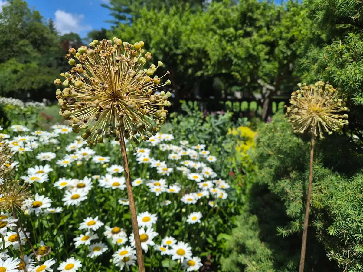 عکس گرفته شده با سامسونگ گلکسی زد فلیپ ۷