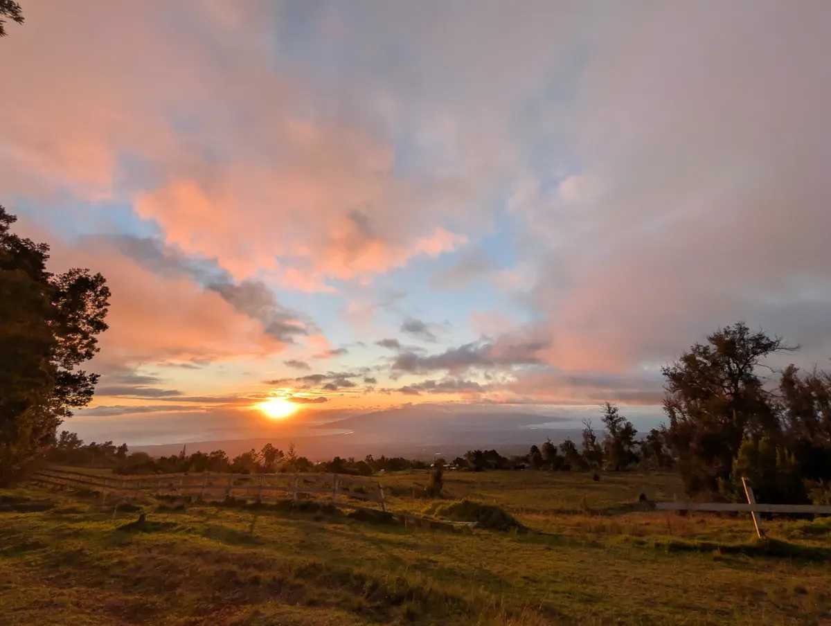 نمونه تصویر دوربین گوگل پیکسل ۱۰ پرو ایکس ال