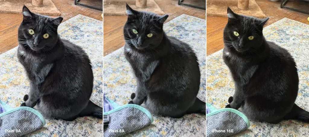 بررسی گوشی گوگل پیکسل 9 ای 18 Here are three photos of Maisie the cat. From left to right the Pixel 9A, the Pixel 8A and the iPhone 16E