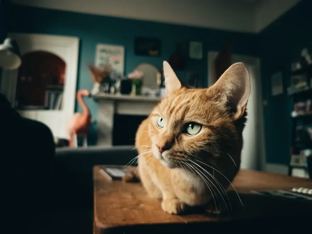 Taken using the ultra-wide lens, I shot this image in both JPEG and raw, the latter allowing me to apply this cinematic edit in Adobe Lightroom.