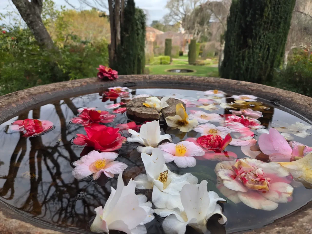 رنگ‌های روشن در S25 و S25 Plus می‌درخشند. 