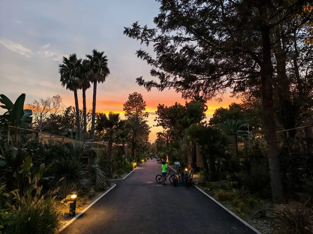 عملکرد دوربین