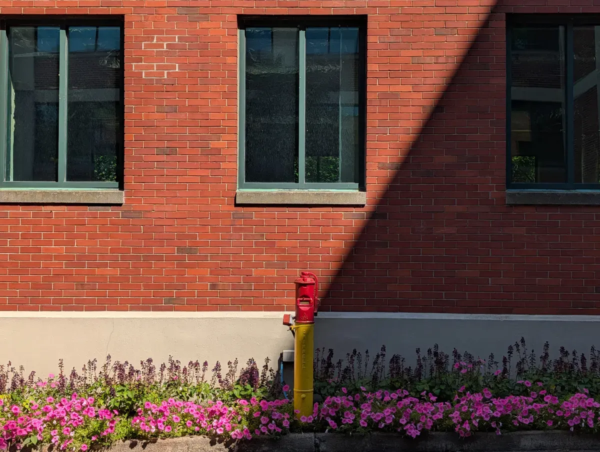 بررسی گوگل پیکسل ۱۰ پرو: نمونه دوربین