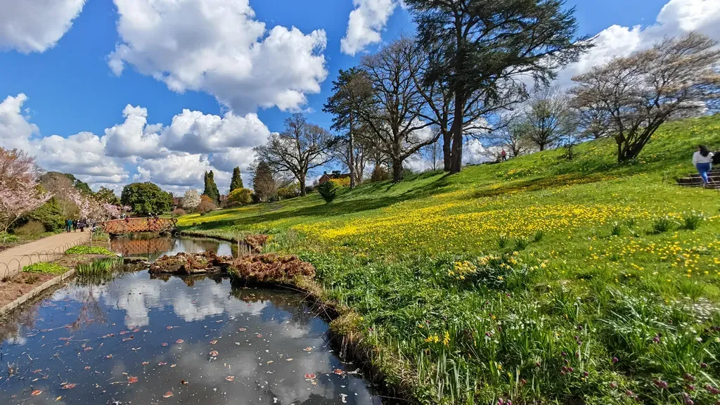 بررسی آنر مجیک ۵ پرو: دوربین‌ها