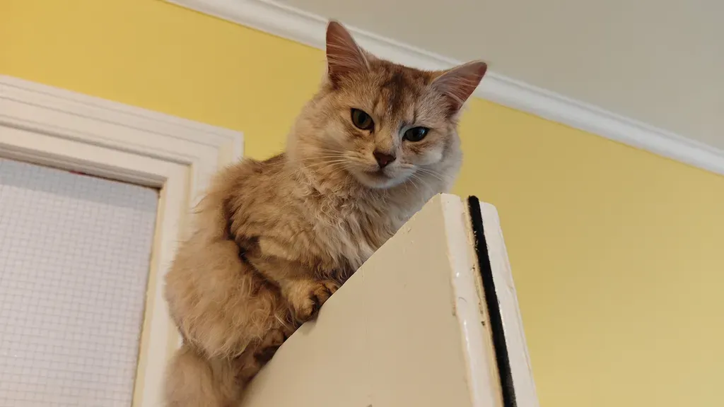 بررسی Nothing Phone (3): دوربین‌ها