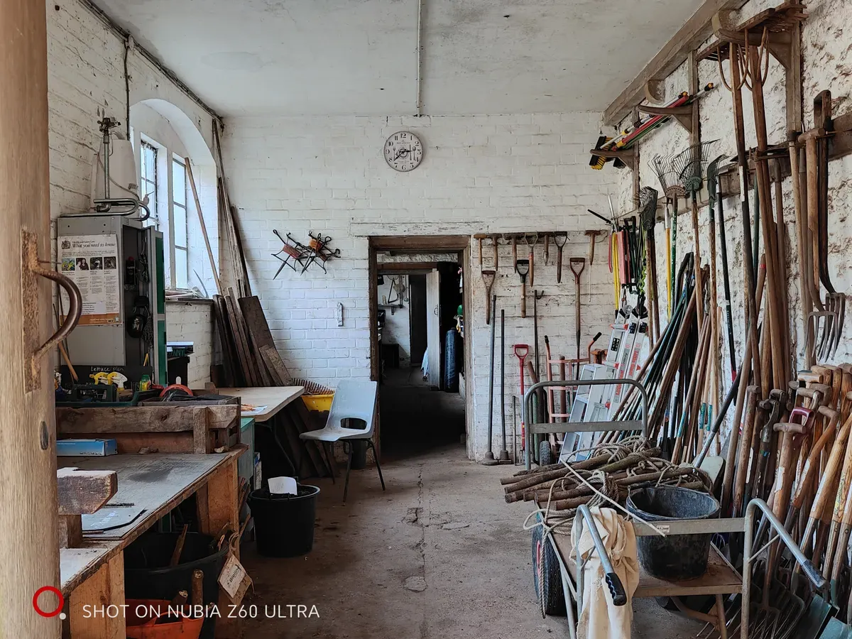 نمونه تصویر دوربین نوبیا زد ۶۰ اولترا