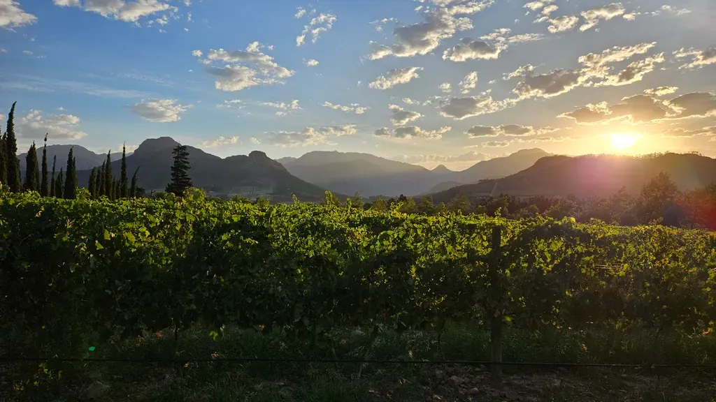 بررسی سامسونگ گلکسی S23 پلاس: دوربین‌ها