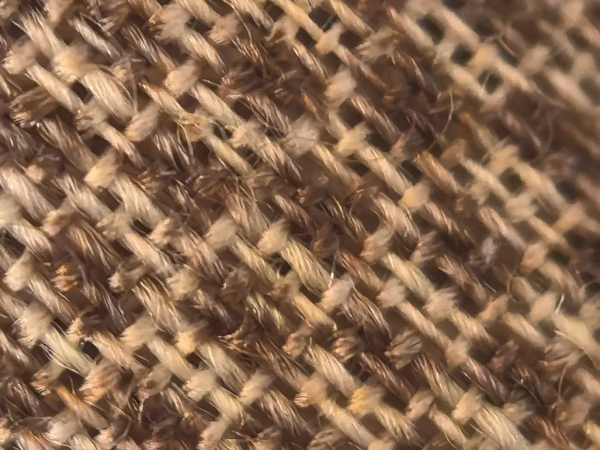 با زوم ۱۰ برابر گرفته شده. می‌توانید بافت شال را ببینید و تشخیص دهید که بافت شلی دارد -- به آن سوراخ‌های ریز نگاه کنید.