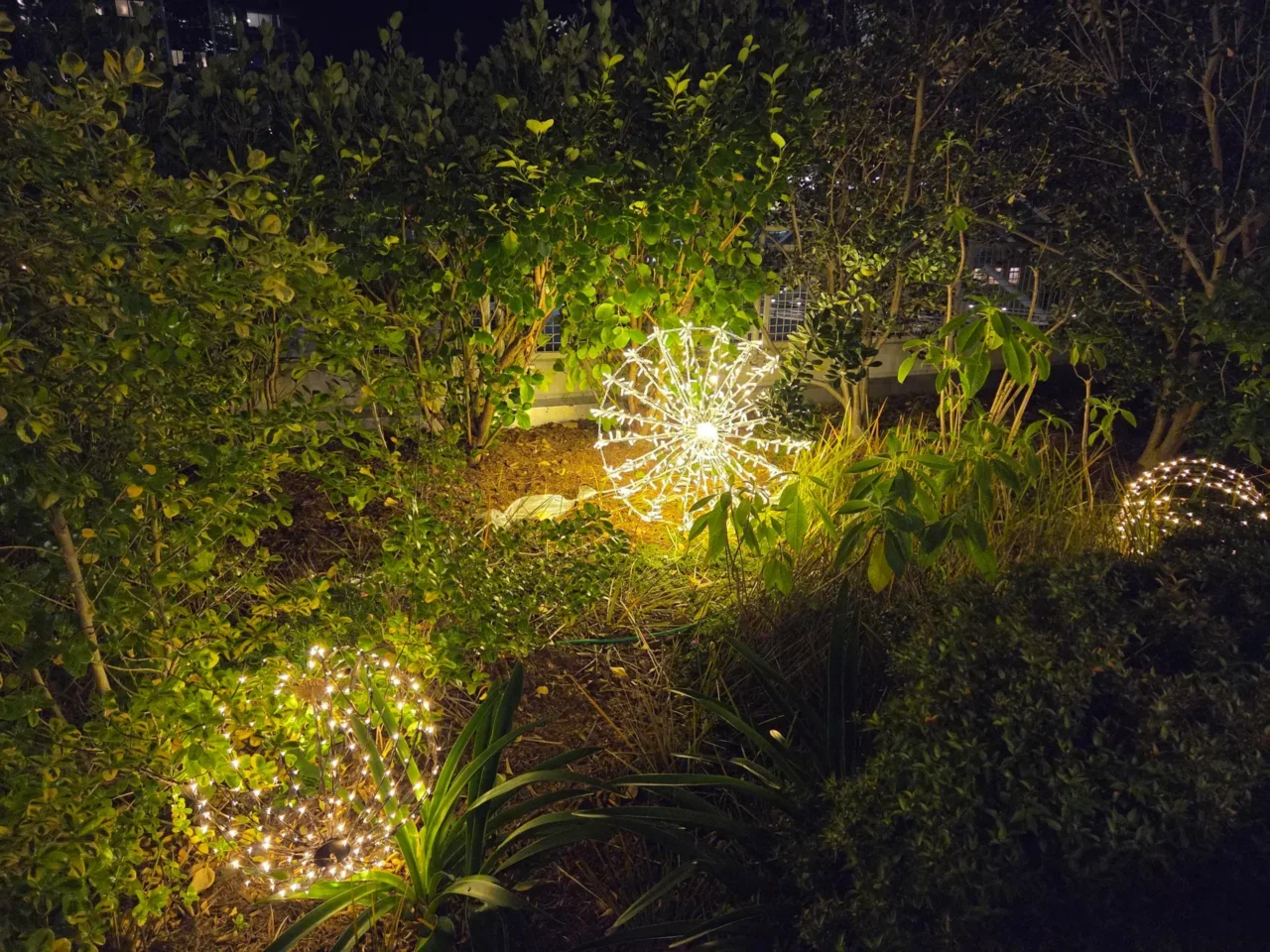 S25 به زیبایی از پس ترکیب رنگ‌های سبز زنده، سایه‌های تیره و چراغ‌های روشن تعطیلات (که به دلایلی هنوز روشن هستند) برآمد.