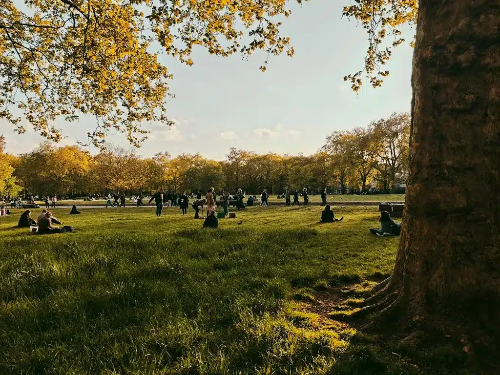 بررسی شیائومی ۱۵: دوربین