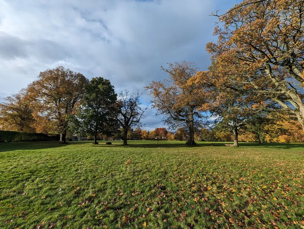بررسی گوگل پیکسل ۸: دوربین‌ها
