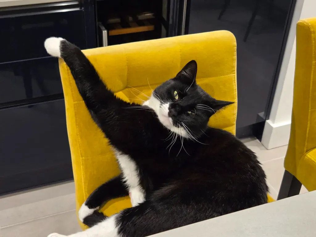 دوربین های سامسونگ گلکسی S25 پلاس