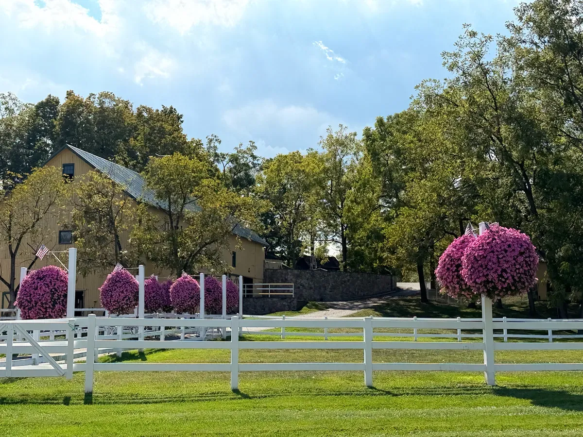 نمونه تصویر دوربین آیفون ۱۷ پرو