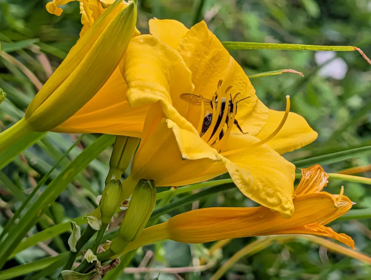 نمونه تصویر دوربین گوگل پیکسل ۱۰ پرو ایکس ال