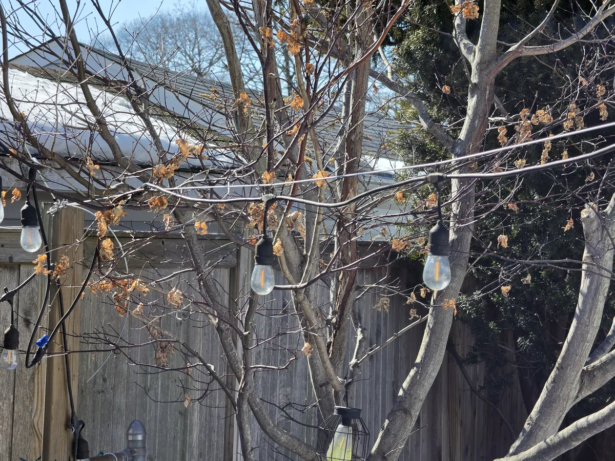 Galaxy S26 Ultra camera sample
