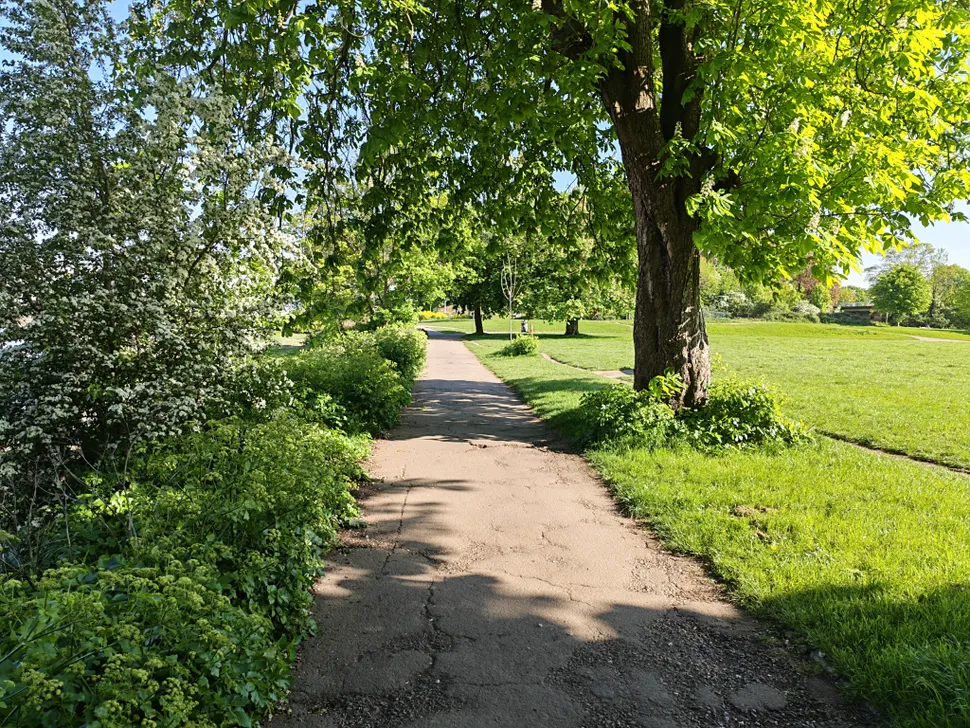 Honor 600 Pro review camera sample