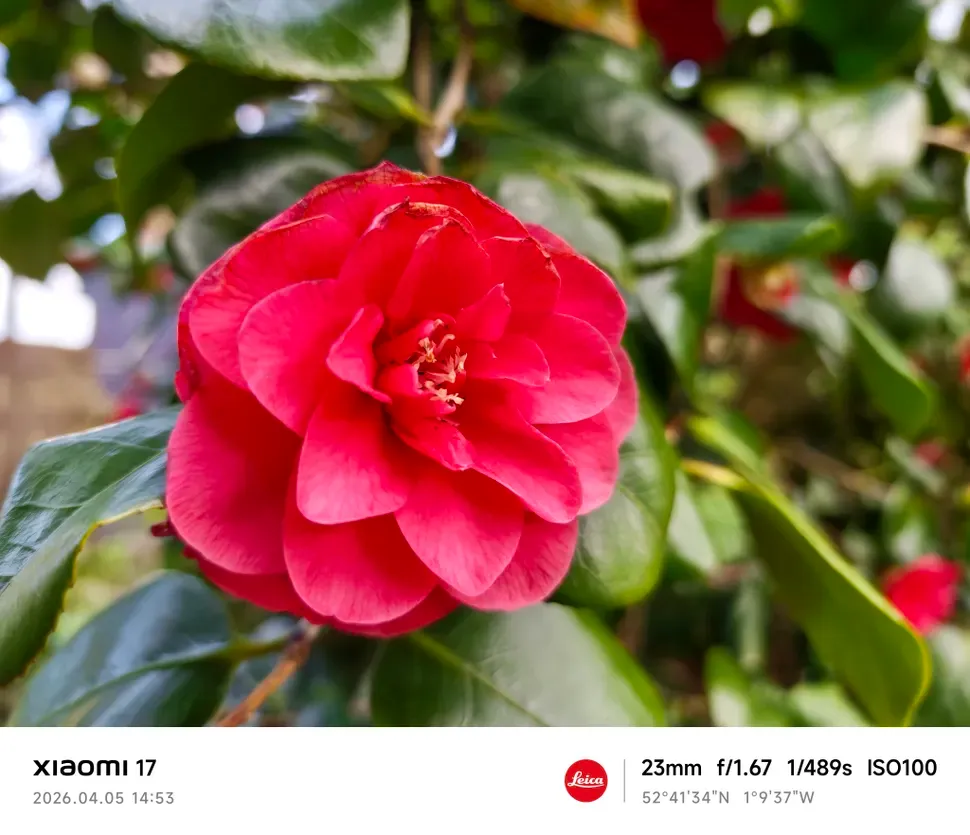Xiaomi 17 review Camera sample