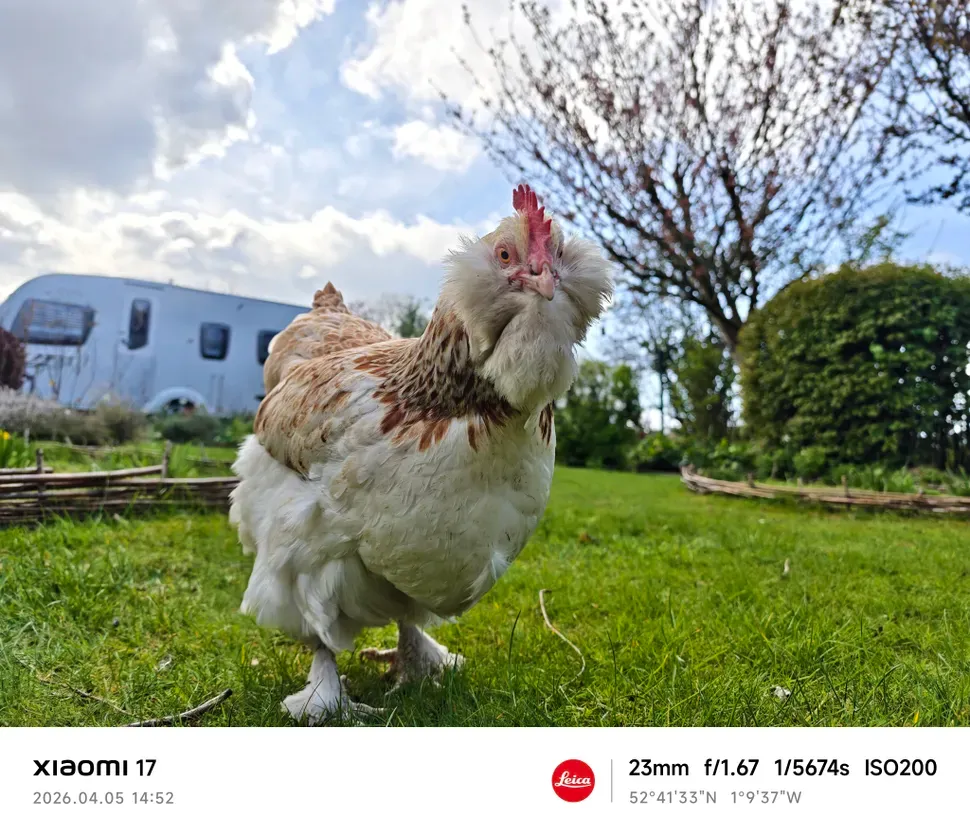 Xiaomi 17 review Cameras-1